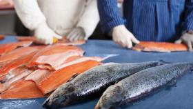 В России выловили свыше 600 тысяч тонн лососевых